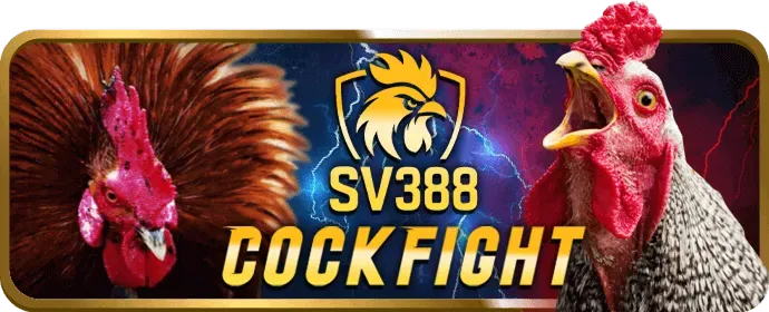 Giải thích về cách 123bet game sử dụng cookie để bảo mật dữ liệu